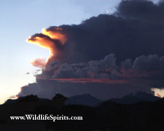 Click Picture to send as an  E-PostCard 55k 550x440